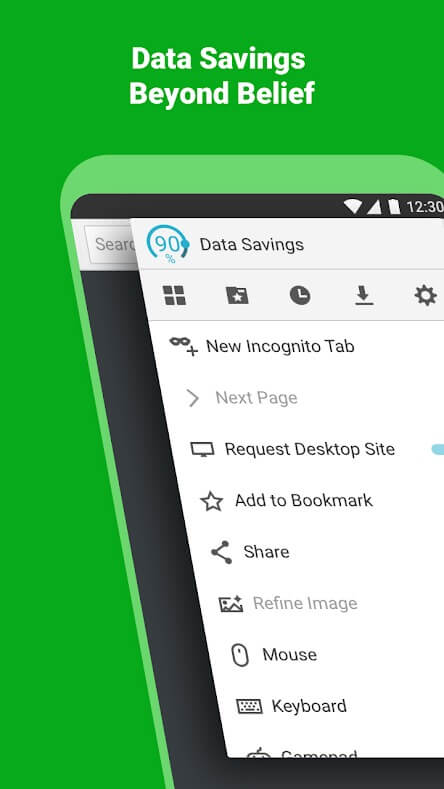 Puffin Browser Pro APK