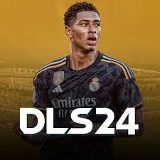 DLS 2024 logo