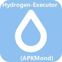 Hydrogen Executor