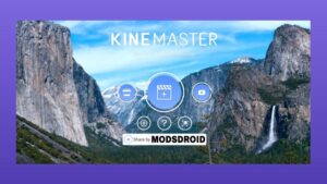 Kinemaster Diamond screenshot