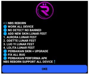 NBS Reborn 2023 Injector screenshot