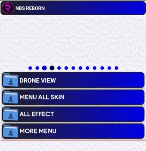 NBS Reborn 2023 Injector screenshot