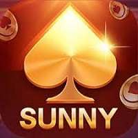 Sunny Game