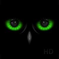 Night Eye