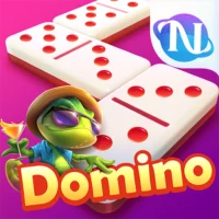 Domino X8