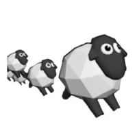 Leading Sheep
