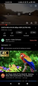 Re­Vanced Extended screenshot