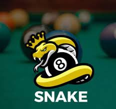 Snake 8 Ball Pool logo