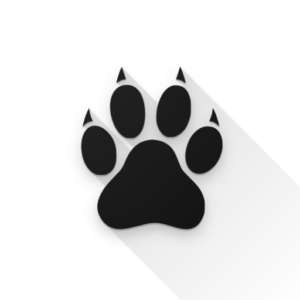 Amarok logo