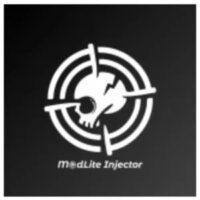Modlite Injector