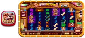 INDORP screenshot