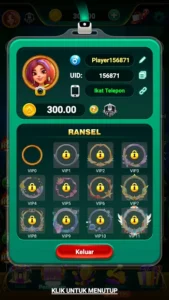 Remi 101 screenshot
