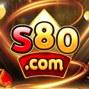 S80 logo