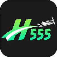 H555 Game