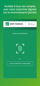 NetCash screenshot