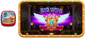 RVIP1 screenshot