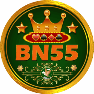 BN55 Game logo