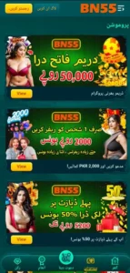 BN55 Game screenshot