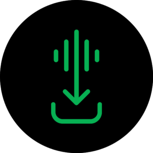 SpotiFLAC logo