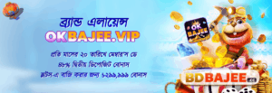 BDBAJEE screenshot