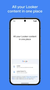 Looker screenshot