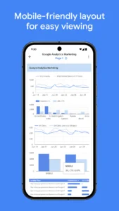 Looker screenshot